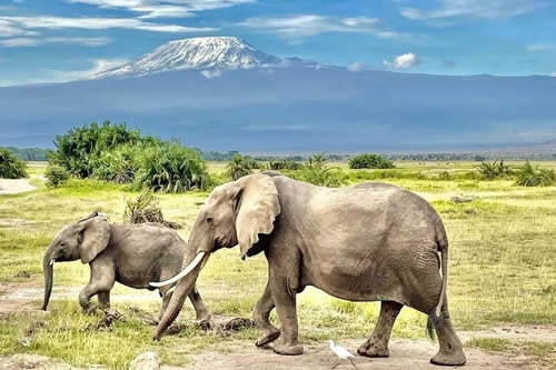 lake nakuru